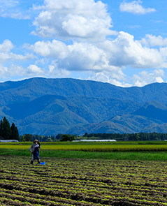 徹底した地域理解に基づく 進出基盤づくり